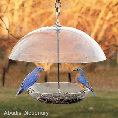 bird feeder